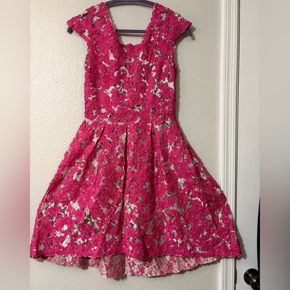 Yoana Baraschi Anthropology Fit and Flare Dress. Mesh with Pink Ribbon Overlay. - Picture 2 of 16